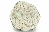 Zoned Apophyllite on White Heulandite - India #220486-1